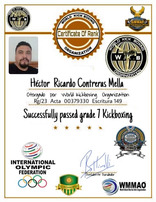 Certificado 11