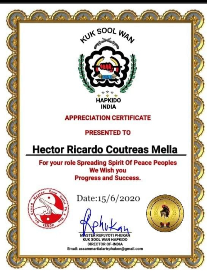 Certificado 33