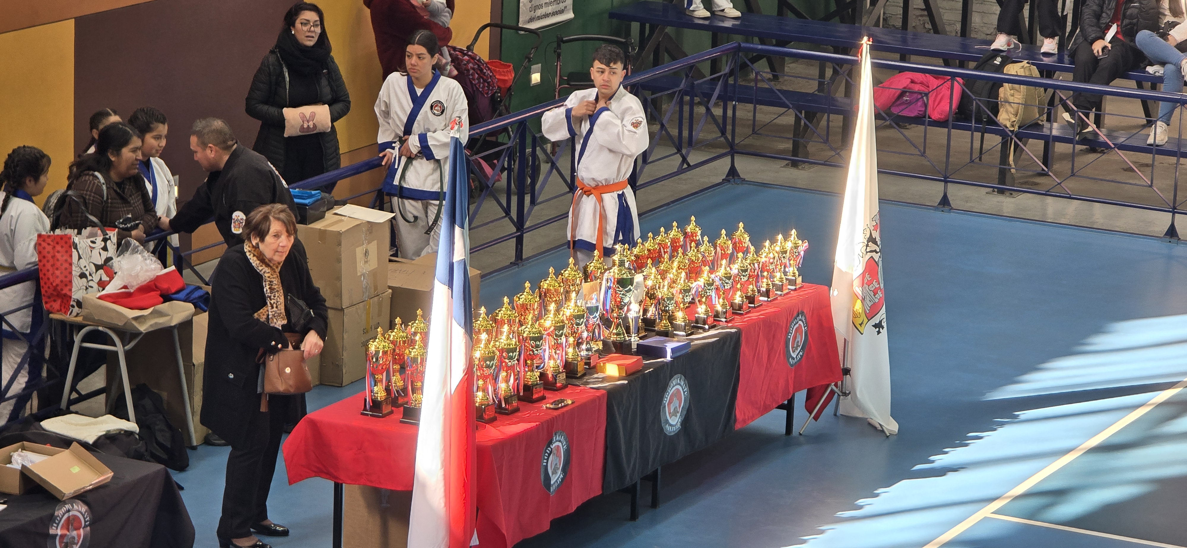Galería de Campeonato Copa San Felipe El Real